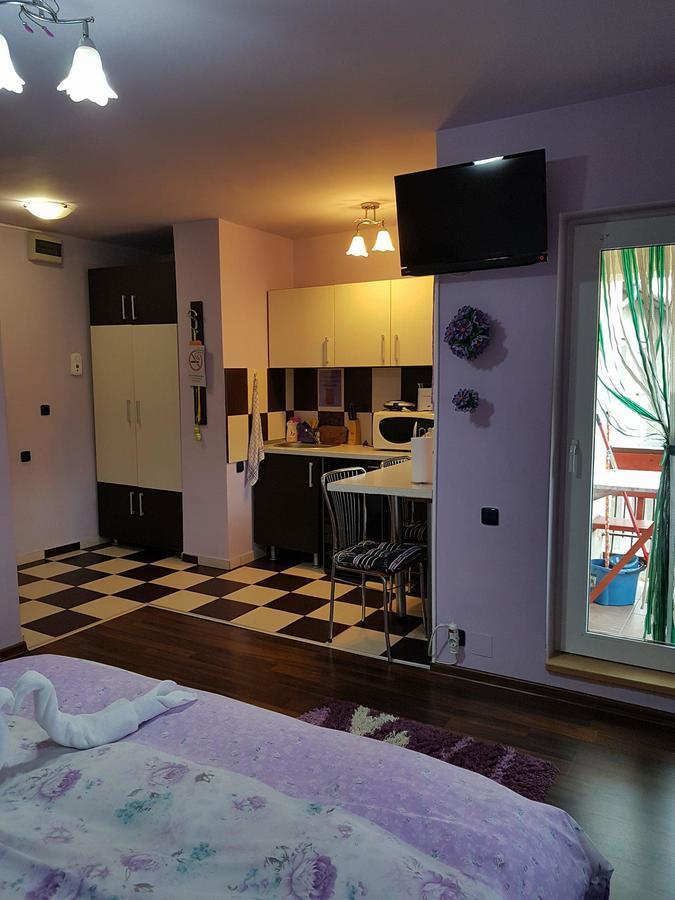 Garsoniera Cristina Apartment Baile Felix Bagian luar foto