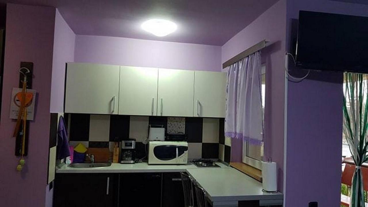 Garsoniera Cristina Apartment Baile Felix Bagian luar foto